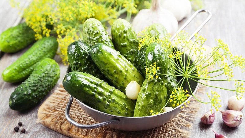 How to prepare crispy cucumbers with vodka for the winter: recipes and tips
