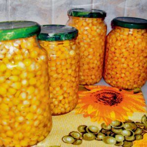 How to pickle corn for the winter at home: choose the cobs correctly and cook according to the best recipes
