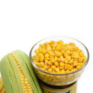 How to pickle corn for the winter at home: choose the cobs correctly and cook according to the best recipes