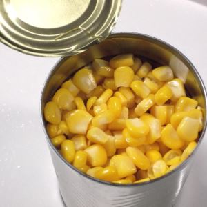 How to pickle corn for the winter at home: choose the cobs correctly and cook according to the best recipes