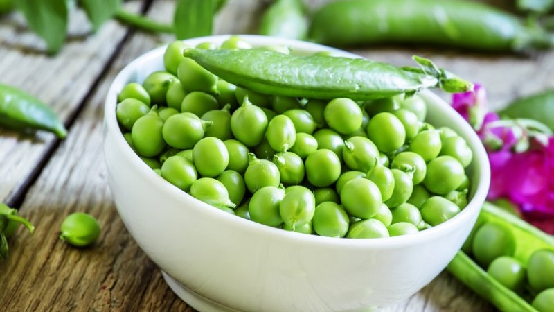 How to pickle green peas for the winter at home: the best recipes and recommendations for storing blanks