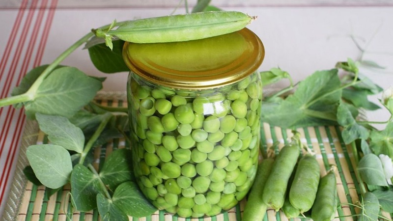 How to pickle green peas for the winter at home: the best recipes and recommendations for storing blanks