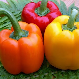 What vitamins are in bell pepper and how is it useful for the body
