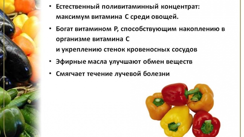 What vitamins are in bell pepper and how is it useful for the body