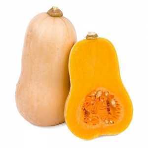 The best varieties of pumpkin for open ground with photos and descriptions