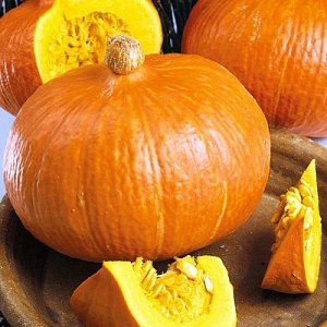 The best varieties of pumpkin for open ground with photos and descriptions