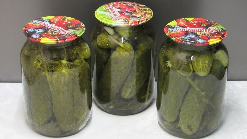 Is it possible to preserve bitter cucumbers: influence on flavor and spin recipes