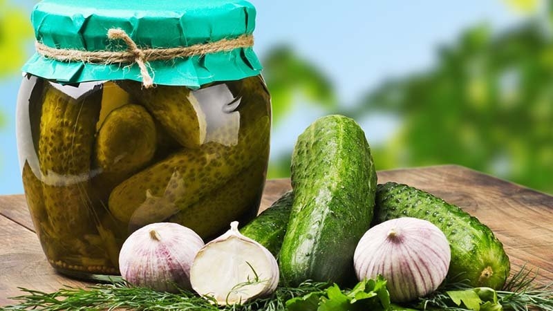 Is it possible to preserve bitter cucumbers: influence on flavor and spin recipes