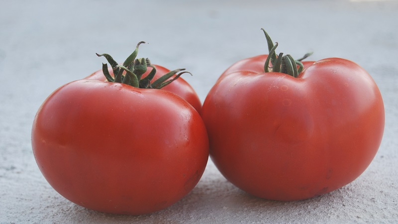 Unpretentious, versatile in use, early ripe tomato Druzhok f1: reviews and secrets of growing
