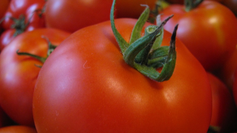 Unpretentious, versatile in use, early ripe tomato Druzhok f1: reviews and secrets of growing