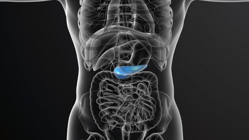 Is it dangerous to eat pumpkin with pancreatitis?
