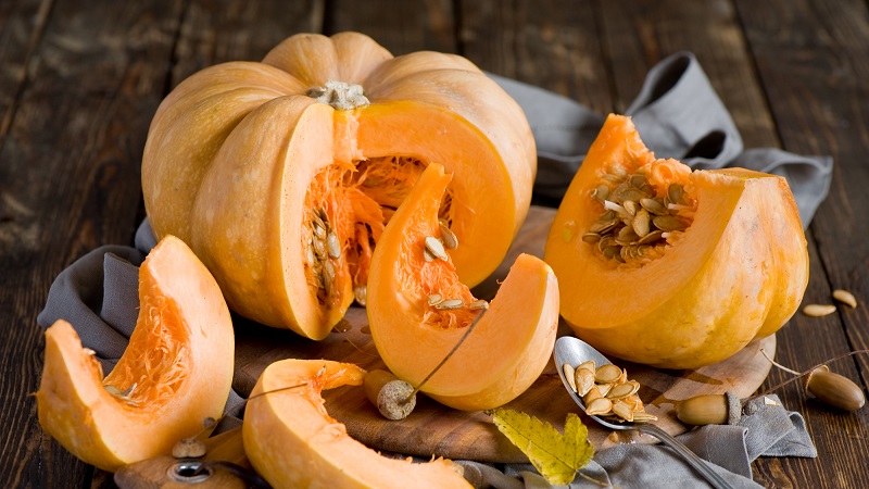 Features of growing large-fruited pumpkin varieties