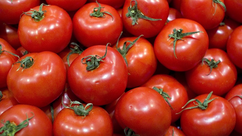 Why should every gardener at least once grow a Bobkat tomato - the best of the undersized