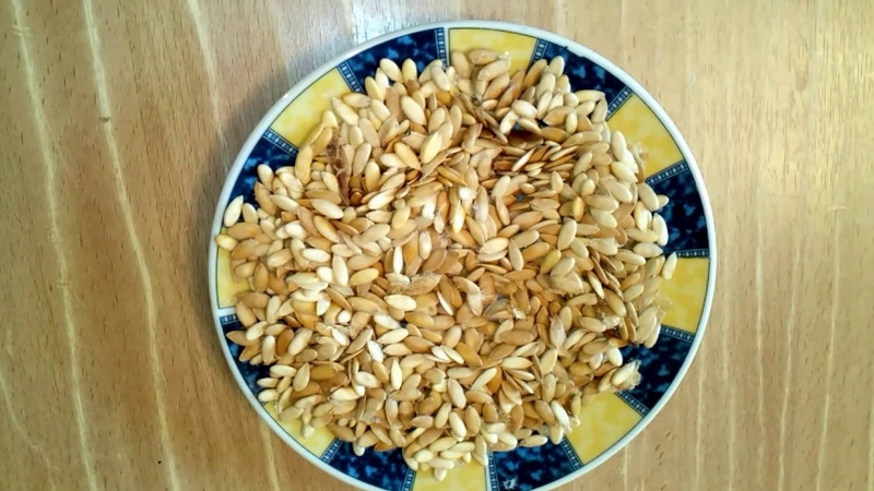 The benefits and harms of melon seeds for the body