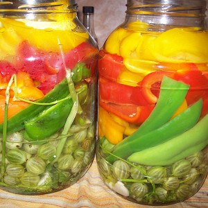 The benefits and harms of green bell pepper for the health of women, men and children