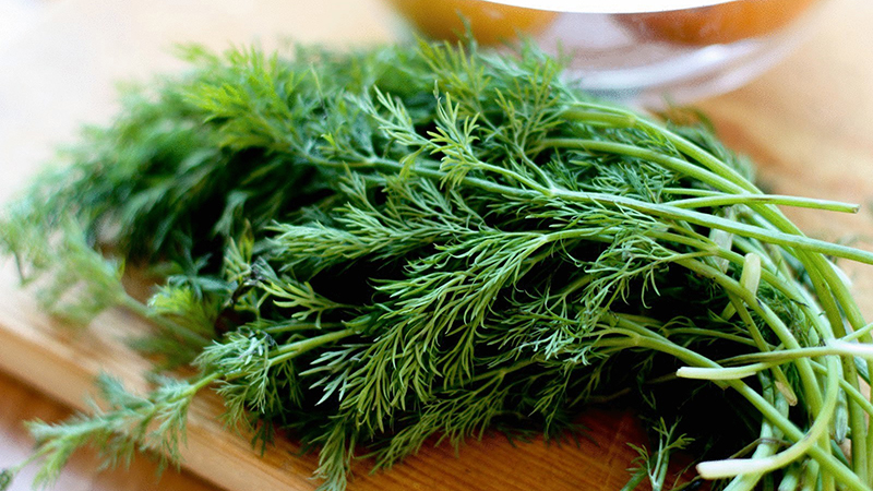 Prevention and treatment of cataracts with dill: recipes, instructions for use and reviews
