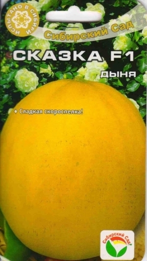Early ripe yellow melon F1 Tale: growing and care, the nuances of choosing when buying ripe fruits