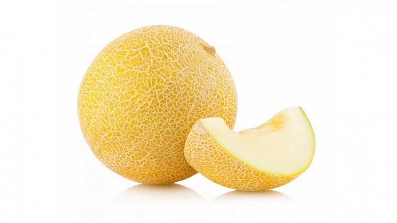 Early ripe yellow melon F1 Tale: growing and care, the nuances of choosing when buying ripe fruits