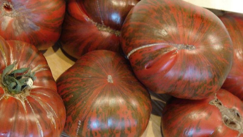 A variety with an unusual color, unique taste and appetizing name - tomato Striped chocolate