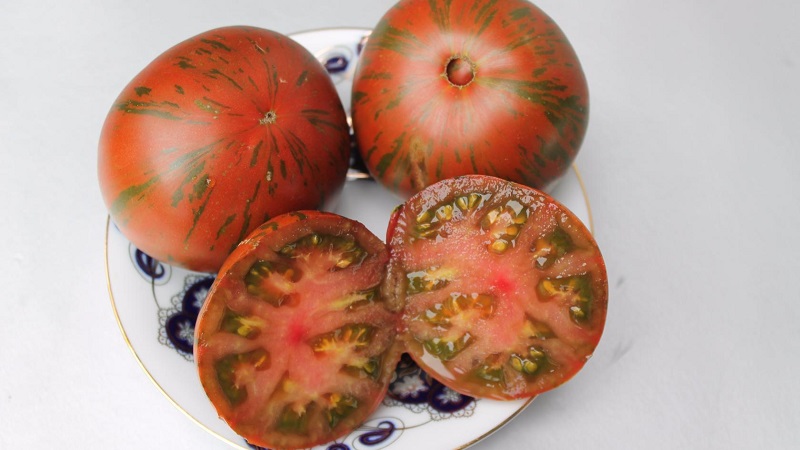 A variety with an unusual color, unique taste and appetizing name - tomato Striped chocolate