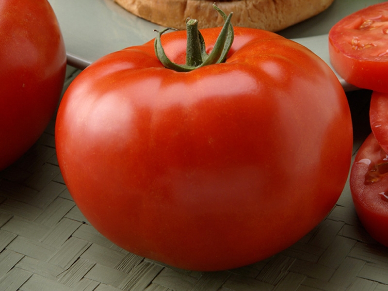 Sweet, fleshy and unpretentious tomato Sensei - a description of agricultural techniques and advice from experienced summer residents