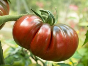 Description of tomatoes of the Pineapple variety: features of their cultivation in open and closed ground