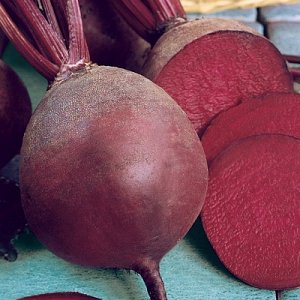 Top 12 best beet varieties: an overview of the different types and tips for choosing the most suitable