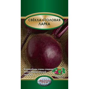Top 12 best beet varieties: an overview of the different types and tips for choosing the most suitable