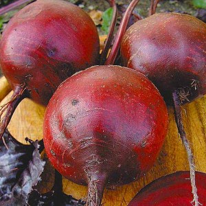 Top 12 best beet varieties: an overview of the different types and tips for choosing the most suitable