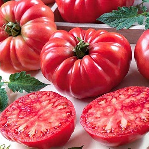Amazing-looking tomato Fig pink with a sweet fruity taste - a variety for real gourmets