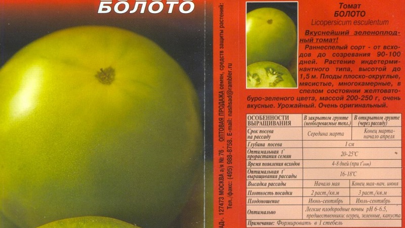 An amazing variety of green tomatoes - the Swamp tomato for true gourmets