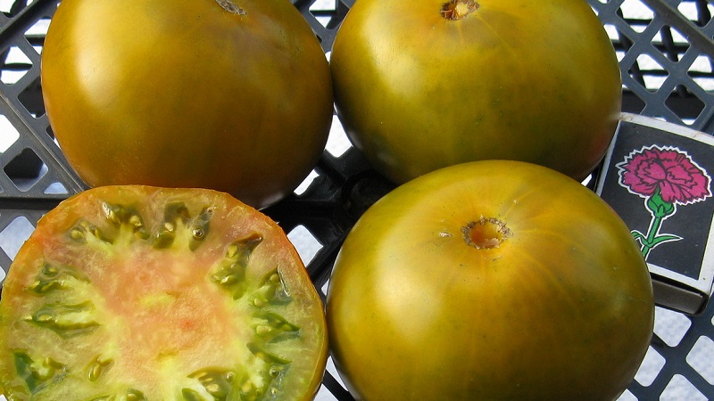 An amazing variety of green tomatoes - the Swamp tomato for real gourmets
