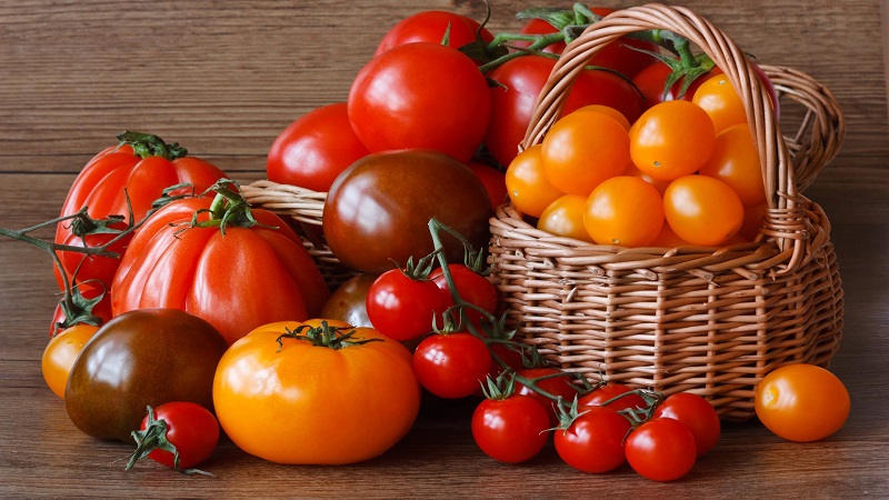 We will learn how to store tomatoes at home and enjoy fresh fruits until winter