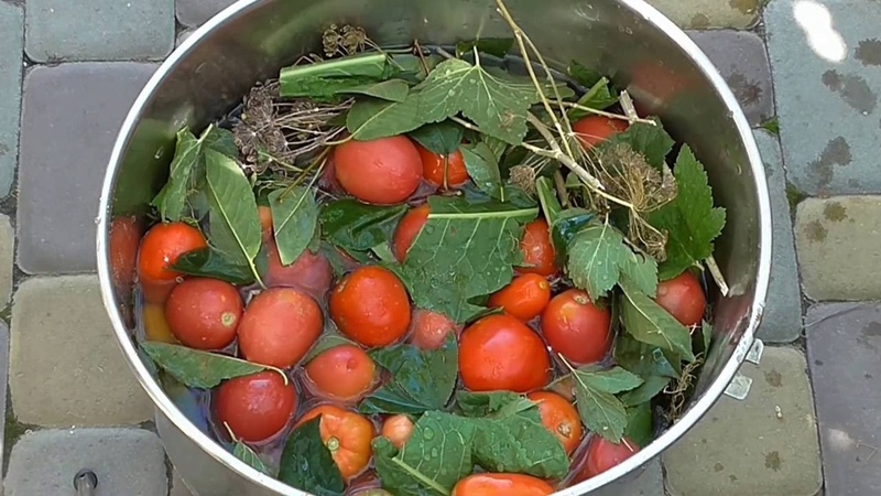 We will learn how to store tomatoes at home and enjoy fresh fruits until winter