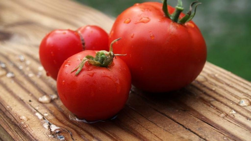Step-by-step instructions on how to grow a Currency tomato: description and secrets of proper care