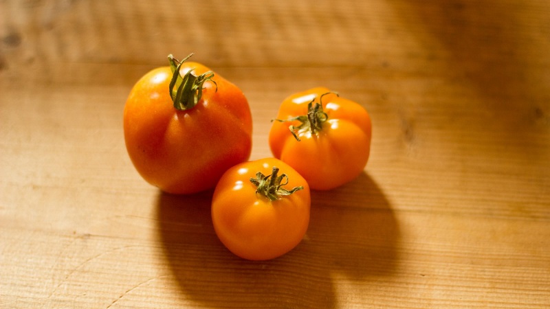 Bright, extremely useful and adored by children tomato Duckling for growing in greenhouses and in the open field