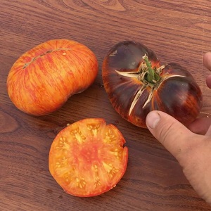 Fascinating bicolor fruits with amazing taste: tomato Alice's Dream