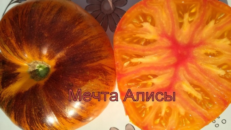 Fascinating bicolor fruits with amazing taste: tomato Alice's Dream