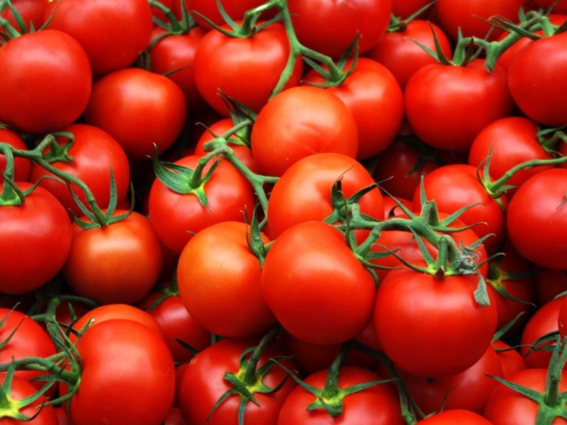 Should I plant a Betta tomato on my plot? Characteristics and photos of the variety, the nuances of growing