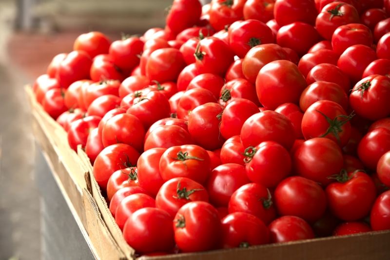 Should I plant a Betta tomato on my site? Characteristics and photos of the variety, the nuances of growing