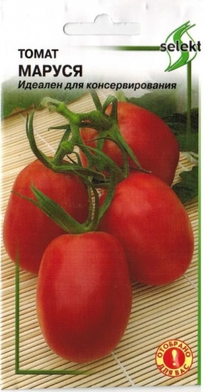 Unpretentious tomato Marusya with excellent taste: we grow it ourselves and enjoy the harvest