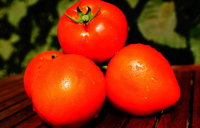 One of the earliest tomato varieties - the French hybrid Supernova F1