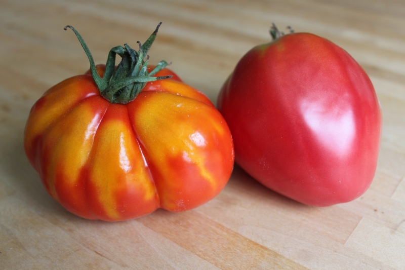 Early ripe tomatoes for juices, salads and preservation Fatima - characteristics and description of the variety