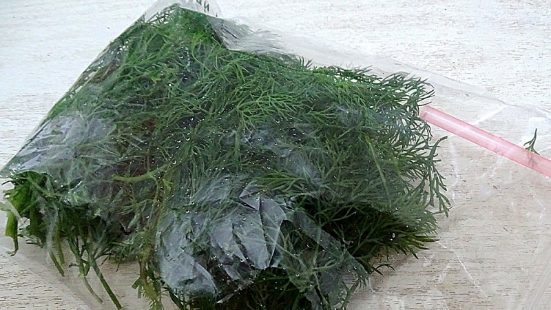 How to freeze dill for the winter in the freezer: harvesting methods and further use