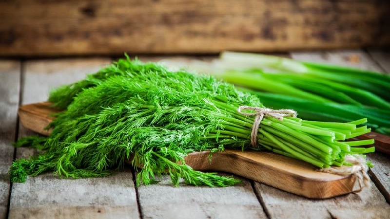 How to freeze dill for the winter in the freezer: harvesting methods and further use