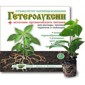 High-yielding and early ripening variety of Morozko pepper for greenhouses and open ground