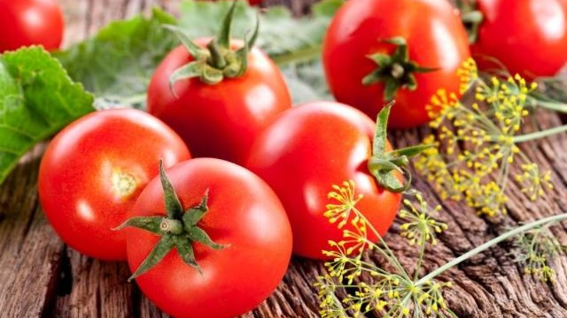 We get acquainted with the tomato Irishka F1 and try to grow it on our site