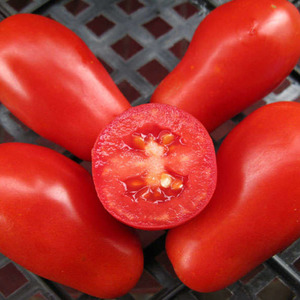 A find for gourmets - tomato Moscow delicacy: advantages over other varieties of tomatoes