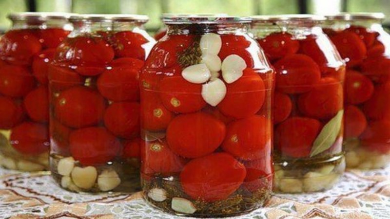 We get a high yield with minimal costs and risks, growing a tomato Collective farm productive