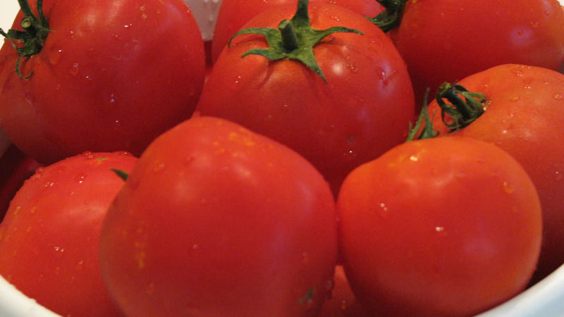 We get a high yield with minimal costs and risks, growing a tomato Collective farm productive